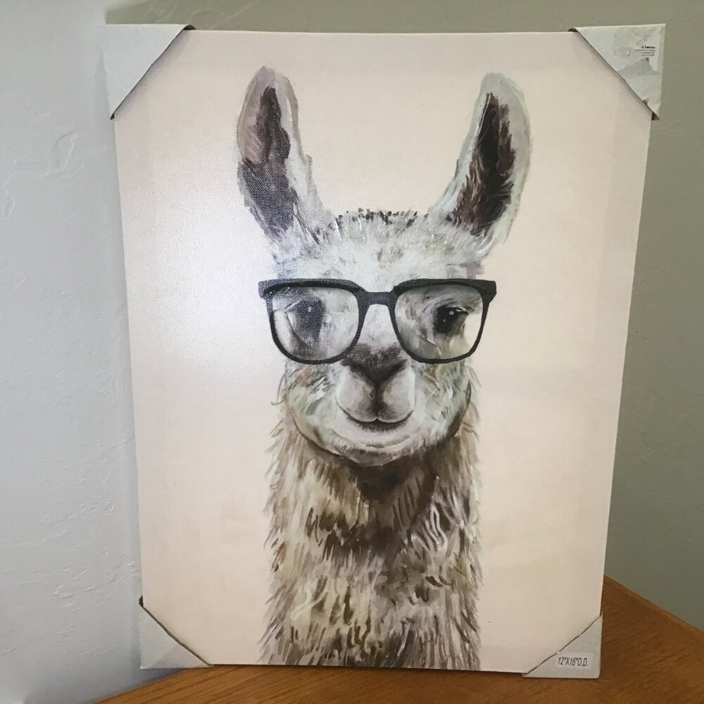 Llama Canvas Wall Art NEW 3D Nursery Art - 12x16" 🖼️
